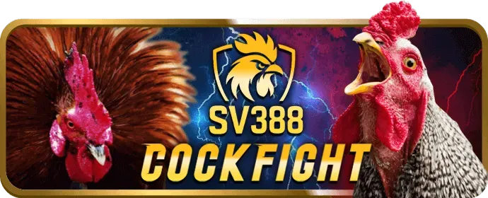 Chương trình VIP 188bey code